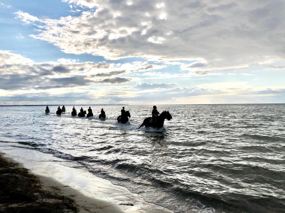 Haus Zwischen Muehle Und Meer Boiensdorf Bagian luar foto